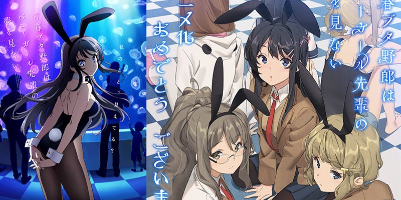 Bunny Senpai Featured Image