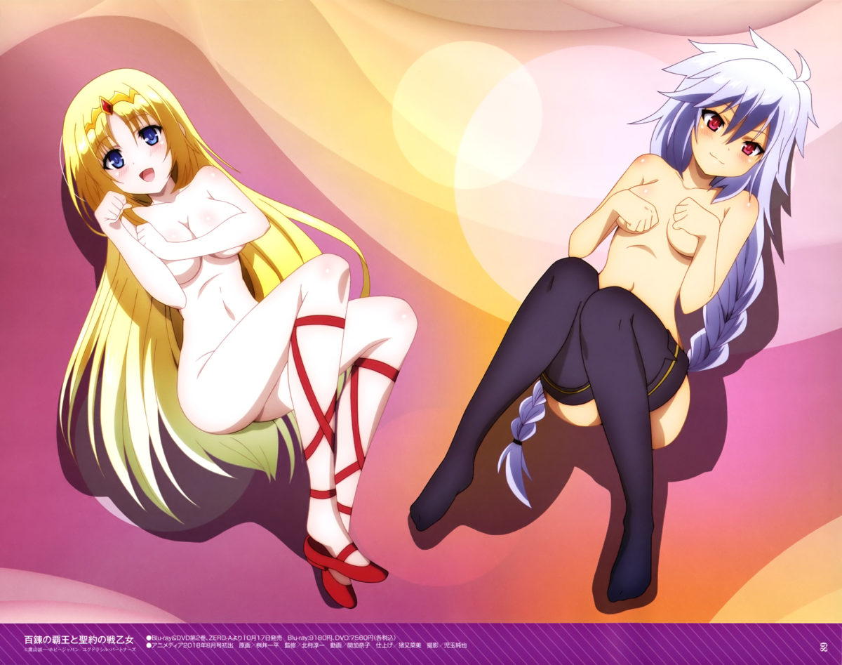 Megami MAGAZINE Deluxe Vol. 31 0014