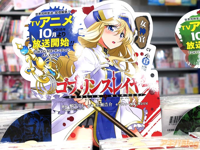 The Goblin Slayer Makes An Appearance In Akihabara 31