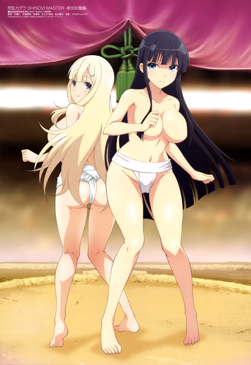 Megami Magazine January 2019 Anime Posters Senran Kagura