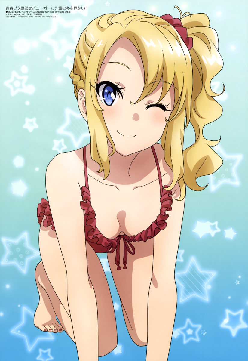 Megami Magazine February 2019 Anime Posters Seishun Buta Yarou Wa Bunny Girl Senpai No Yume Wo Minai