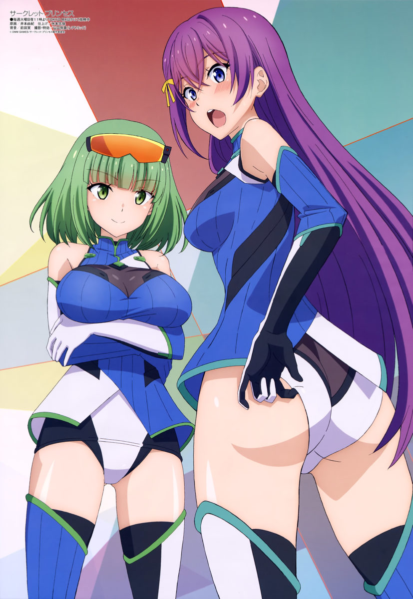 Megami Magazine March 2019 Anime Posters Circlet Princess