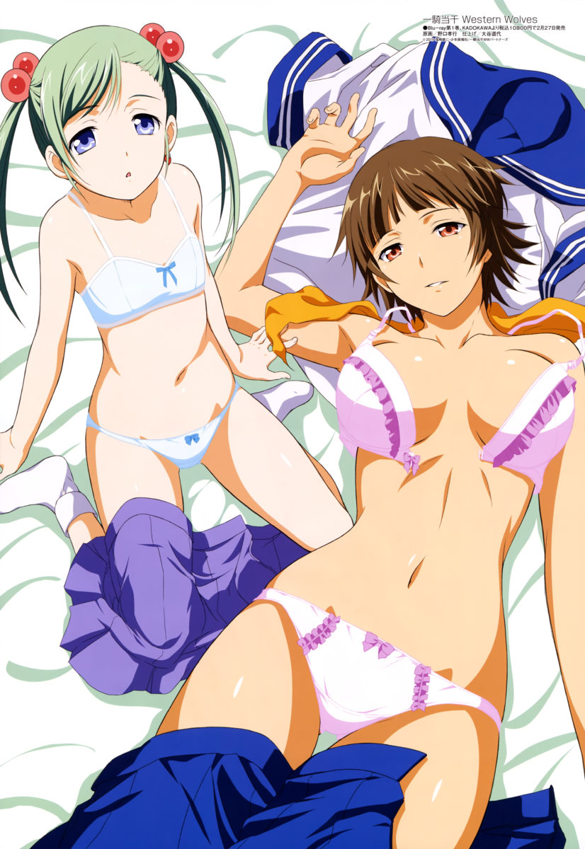 Megami Magazine March 2019 Anime Posters Ikki Tousen