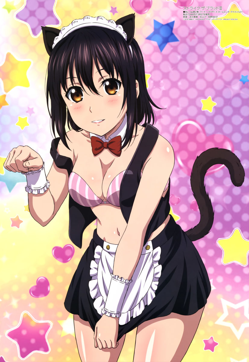 Megami Magazine March 2019 Anime Posters Strike The Blood