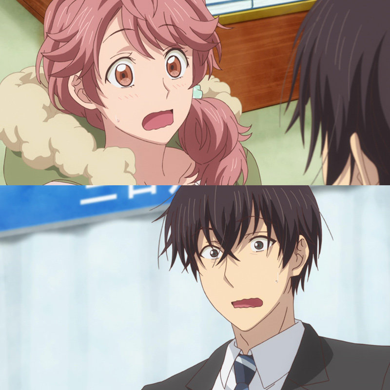 Why Cats Are Good And Polite Japanese Is Bad