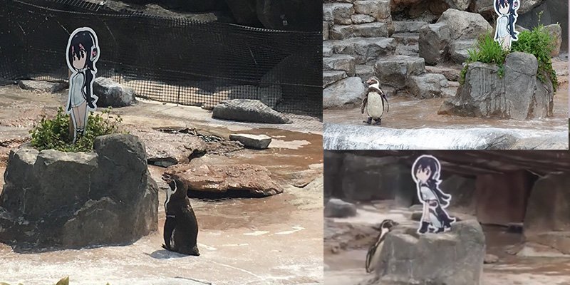 Grape Kun Nei Kun Featured Image