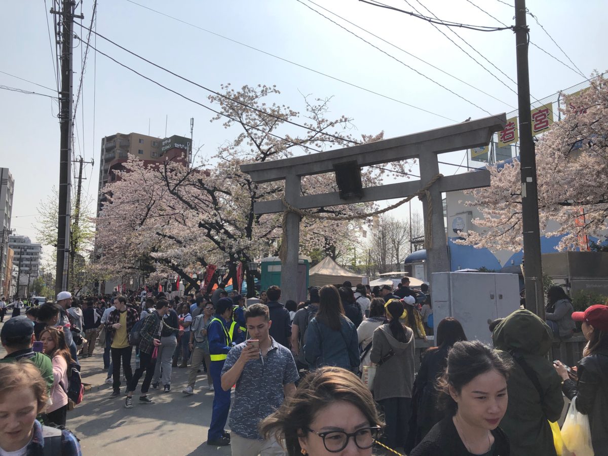 Japanese Penis Festival Front
