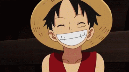One Piece Monkey D. Luffy