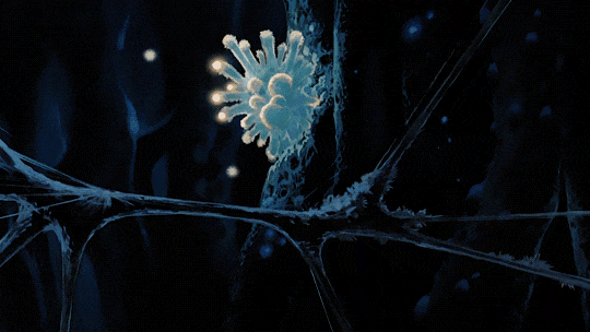 Top Hard Sf Anime Series Nausicaa Of The Valley Of The Wind