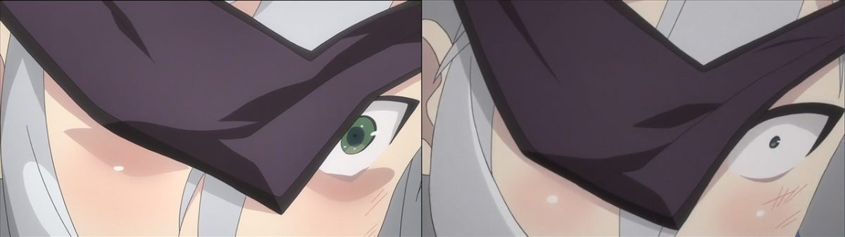 Senran Kagura Shinovi Master Tokyo Youma Hen Blu Ray Vs TV Anime 0096