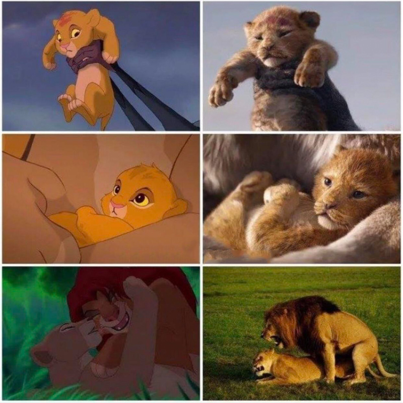 Live Action Lion King 02