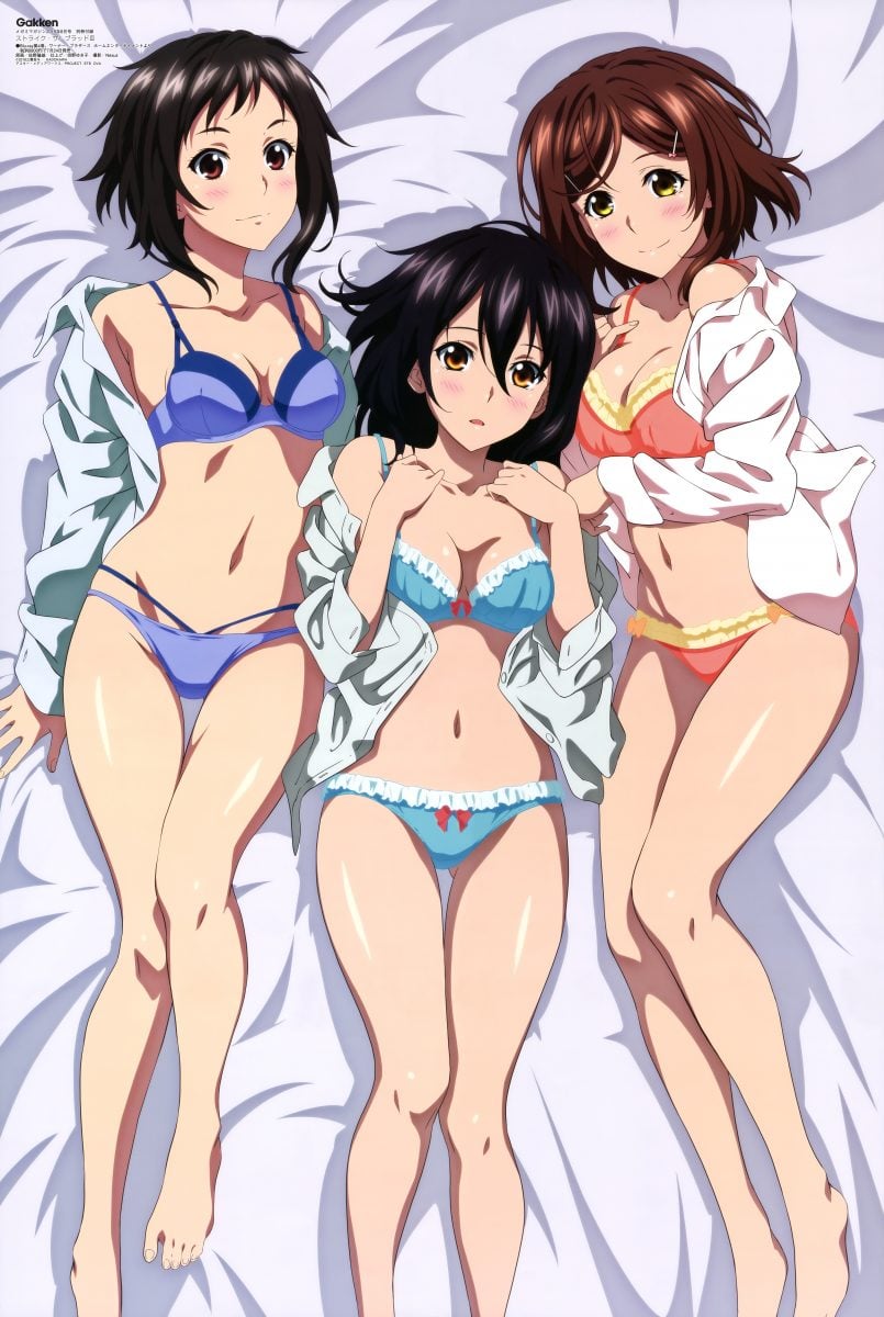 Megami Magazine August 2019 Anime Posters Strike The Blood