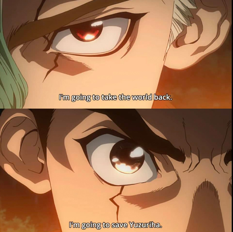 Dr. Stone A Fresh Anime Concept