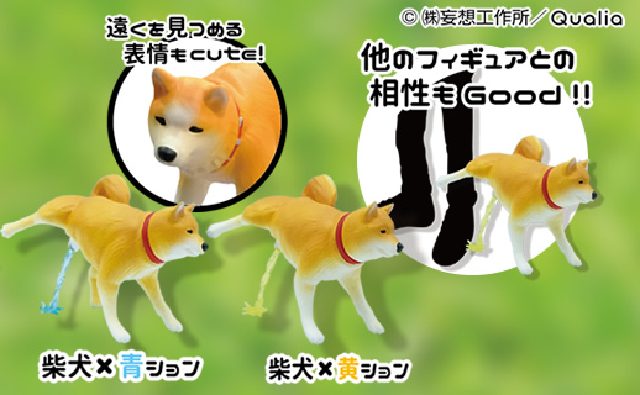 Peeing Shiba Fig 1