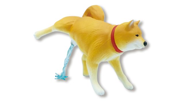 Peeing Shiba Fig 3