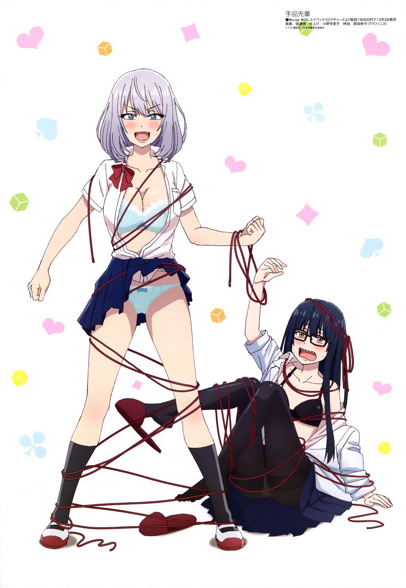 Megami Magazine November 2019 Anime Posters Magical Sempai