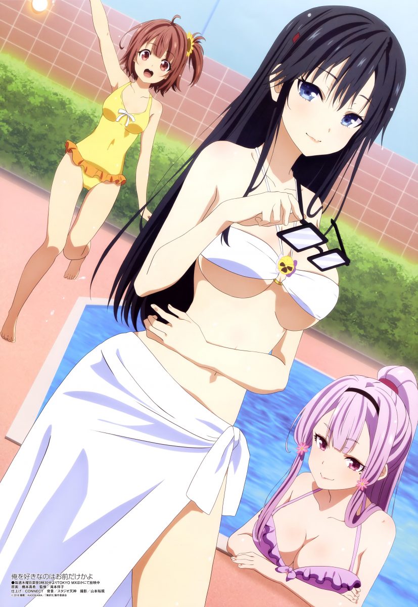 Megami Magazine January 2020 Anime Posters Oresuki