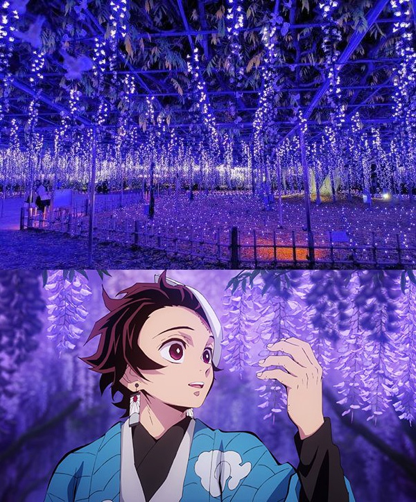 Ashikaga Flower Park Kimetsu No Yaiba