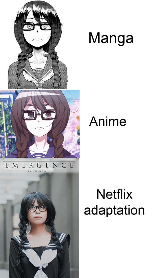 Netflix Adaption