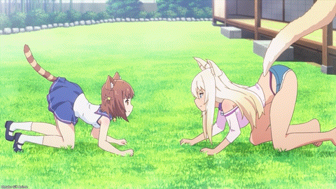 Nekopara Episode 1 Azuki Coconut About To Fight