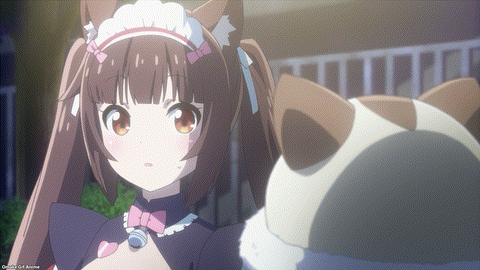 Nekopara Episode 3 Chocola Startled By Stray