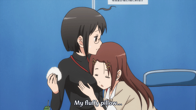 Anime Boobs Or Butts Pillows Anime Boobs Or Butts Pillows