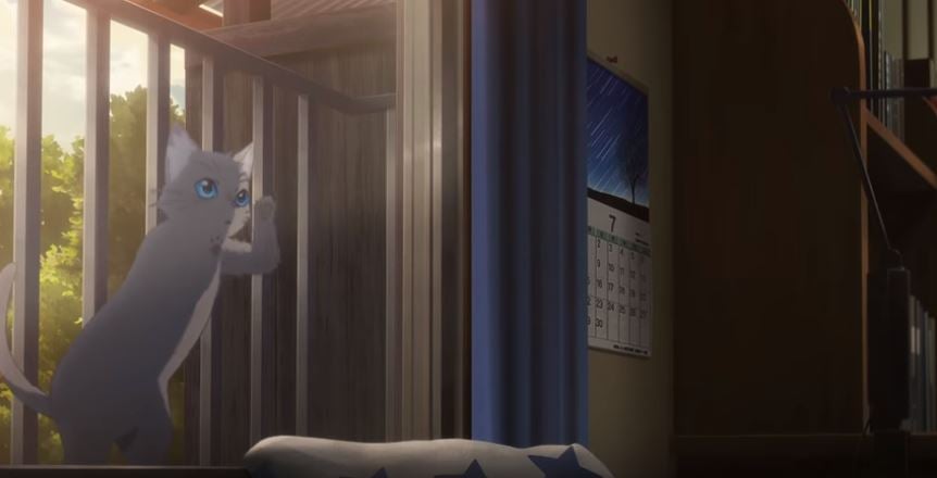 Nakitai Watashi Neko Kaburu Promotional Video 02