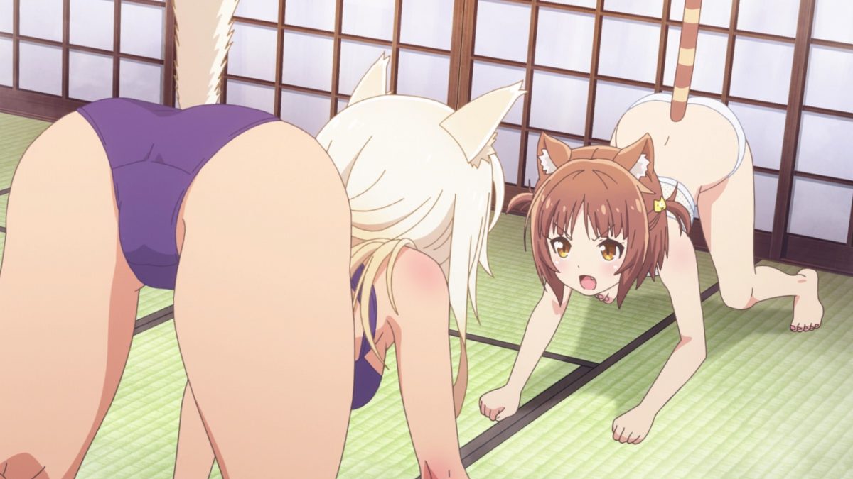 Nekopara Episode 4 Azuki Challenges Coconut