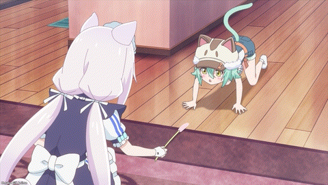 Nekopara Episode 4 Cacao About To Pounce