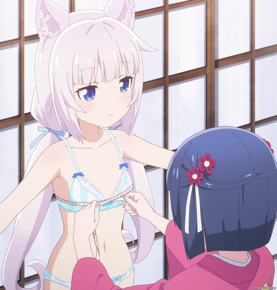 Nekopara Episode 4 Vanilla Gets Measured