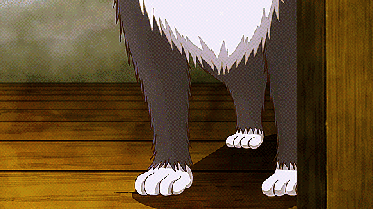 My Roommate Is A Cat