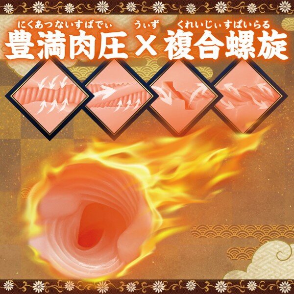 Internal View of the Onahole