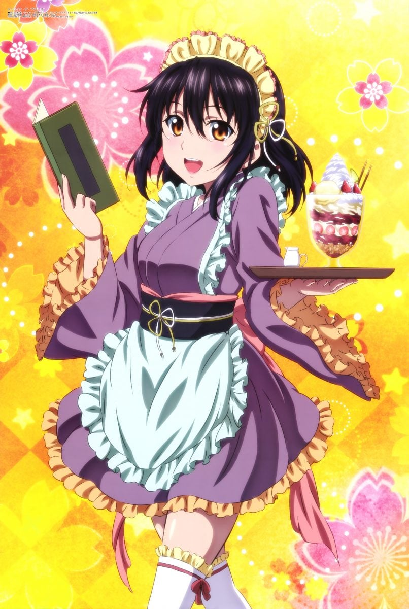 Megami Magazine April 2020 Anime Posters Strike The Blood