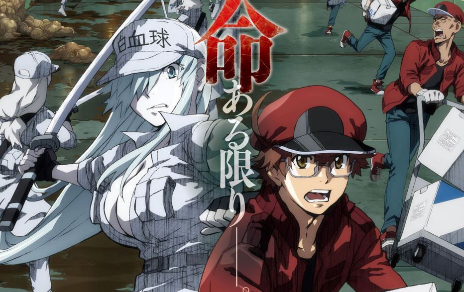Cells At Work Code Black Banner