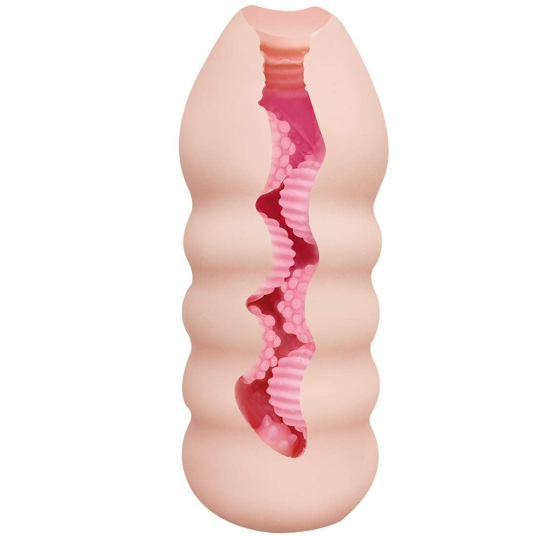 Anime Snake Girl Internal View