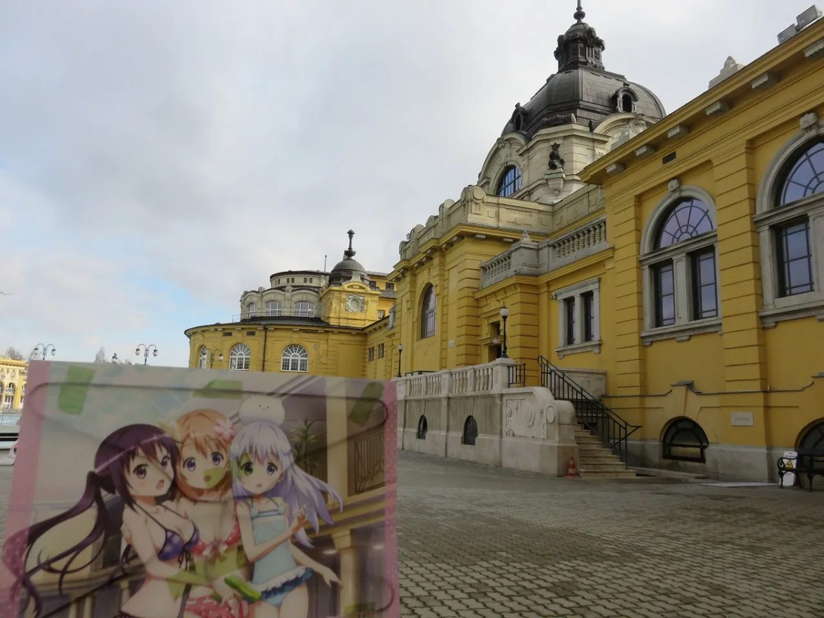 Hungary Is The Order A Rabbit Image