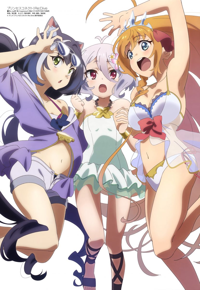 Megami Magazine August 2020 Anime Posters Princess Connect!