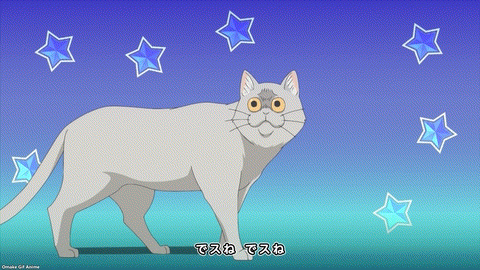 Uzaki Chan Wa Asobitai! OP Cat Freaks Out