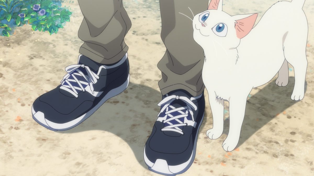 L'étranger de la Plage Cat