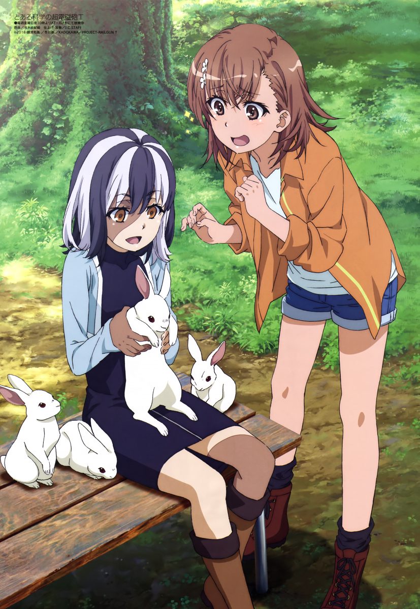 Megami Magazine October 2020 Anime Posters Toaru Kagaku No Railgun T