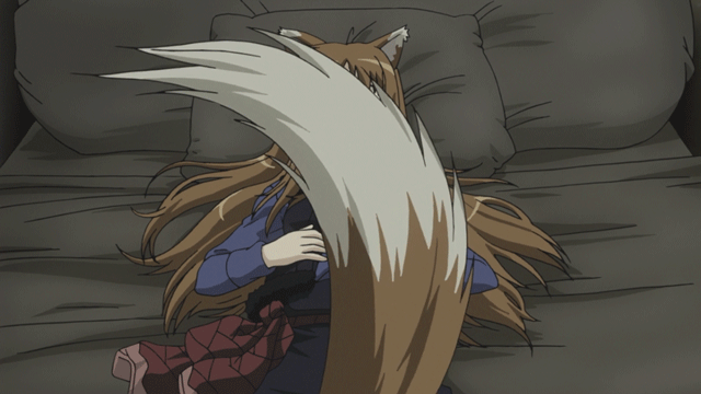 Spice And Wolf