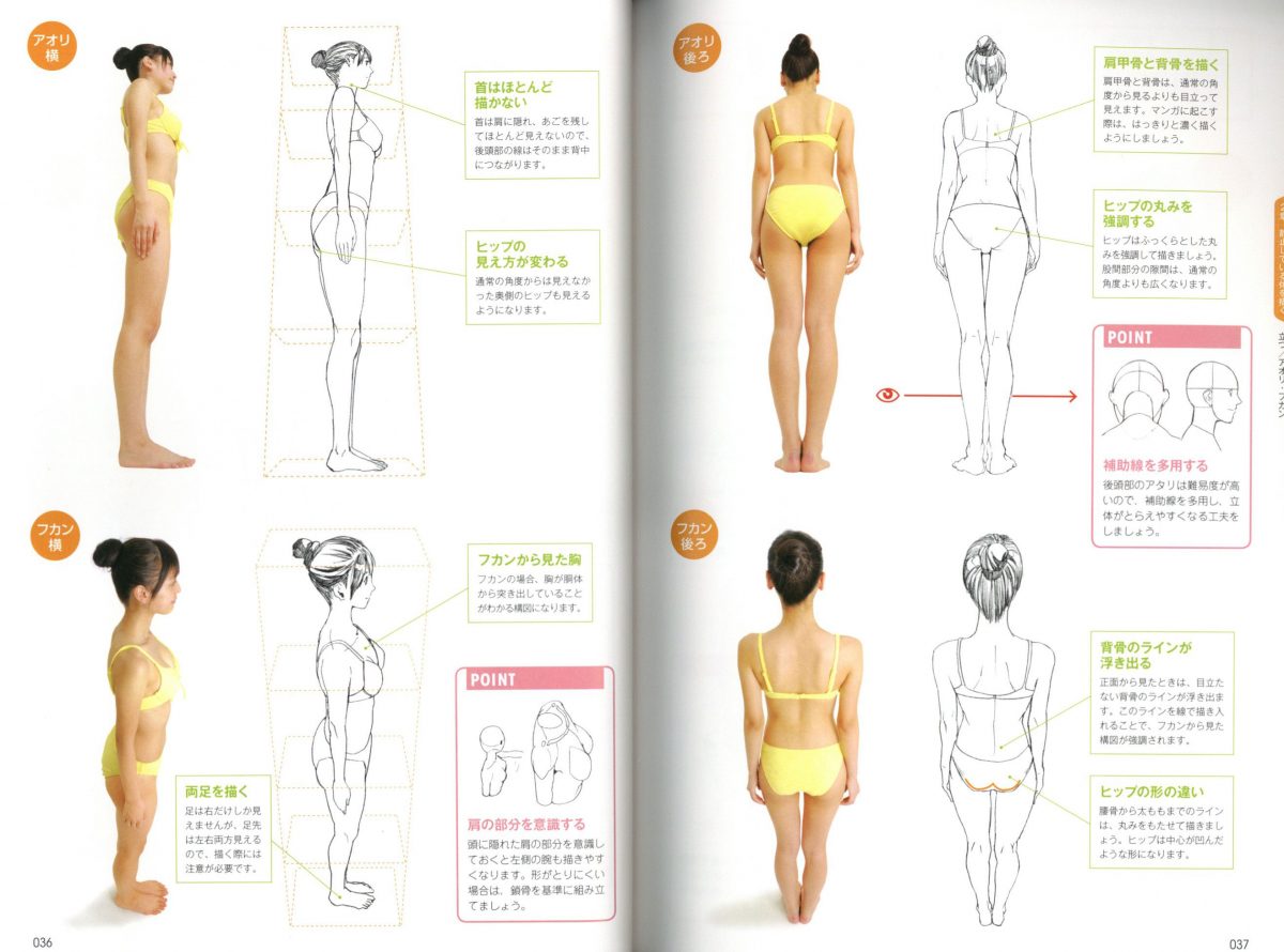 Learn To Draw From Various Angles