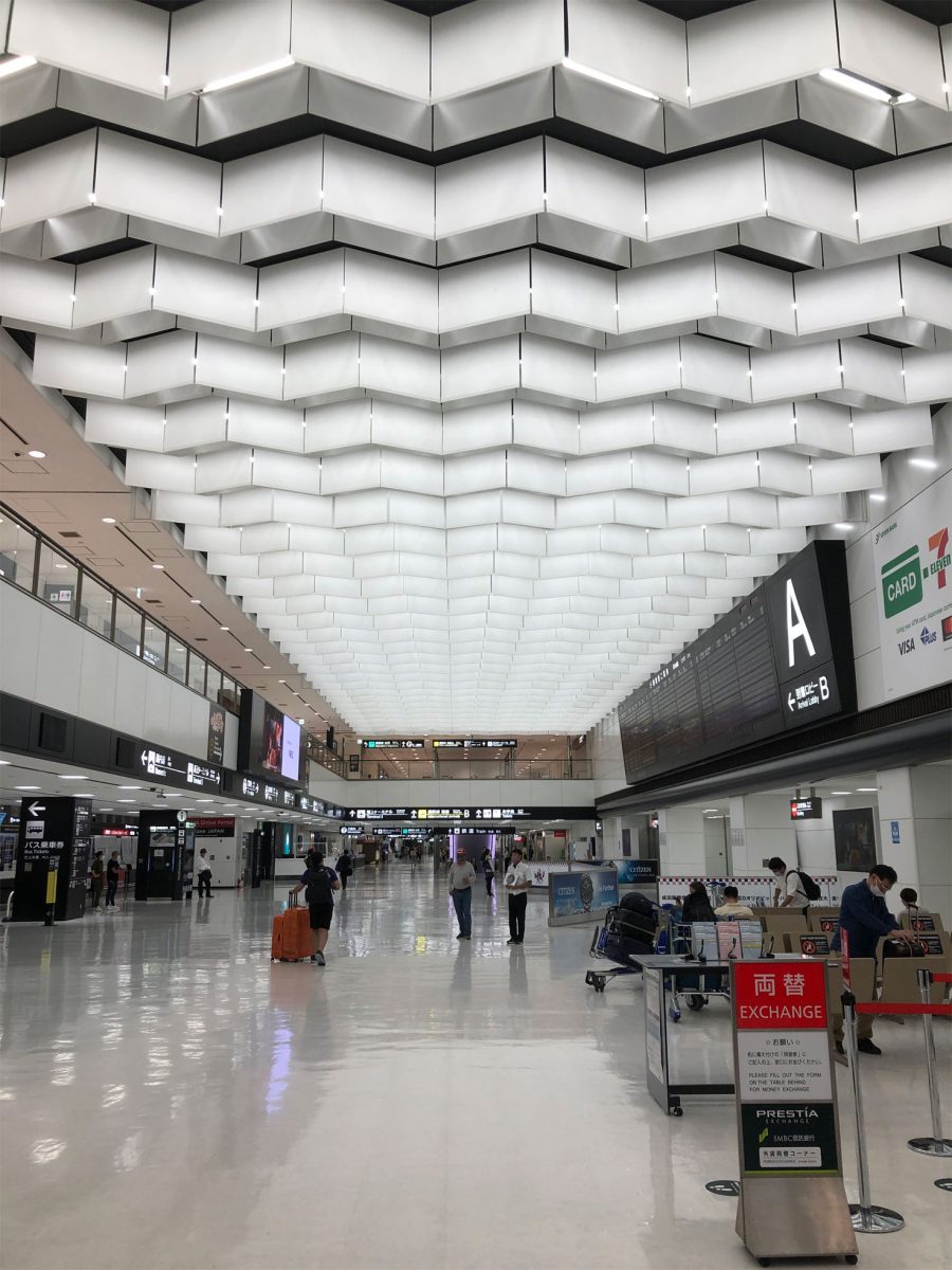 Narita Quarantine Image