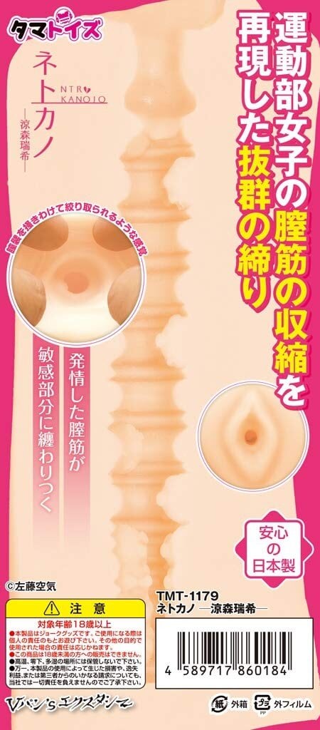 Interior Of The NTR Kanojo Onahole