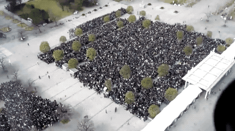 Comic Market Crowd Control