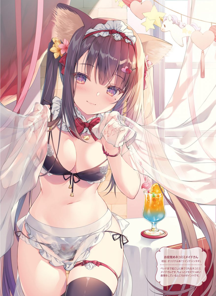 Dengeki Moeoh December 2020 Issue 0072