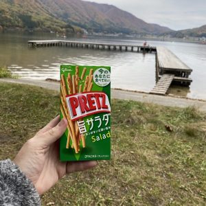 Pretz Please Twins dock