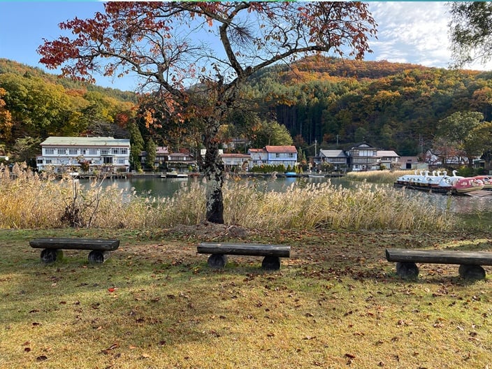 Please Twins Three Benches Photo