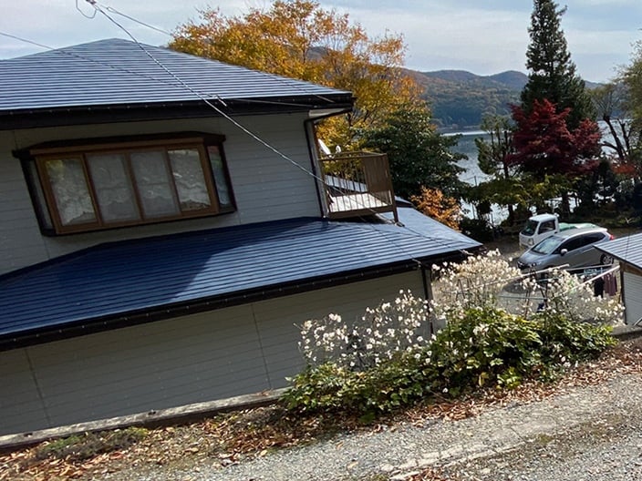 The Please Twins House