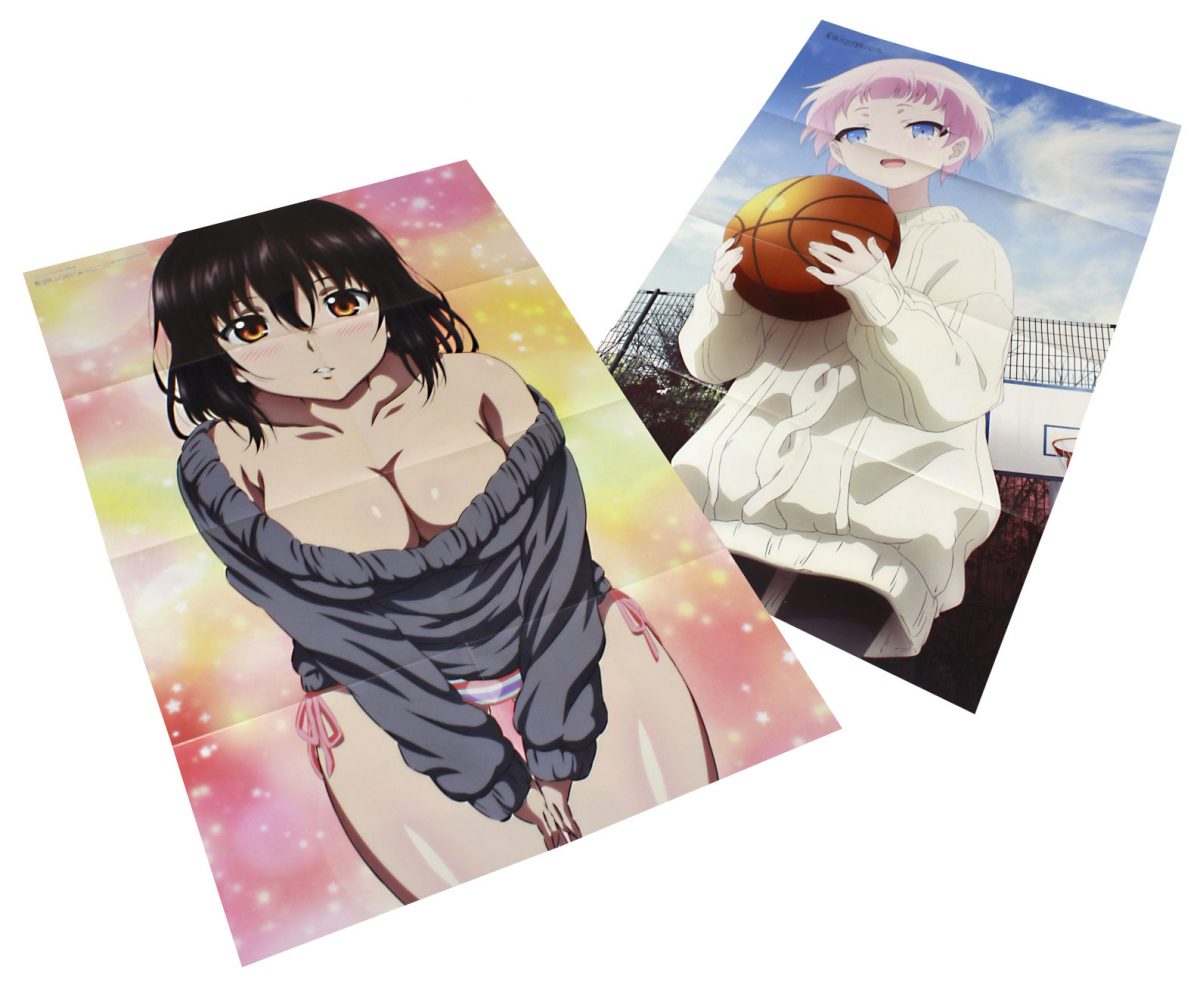 Megami Magazine February 2021 0018